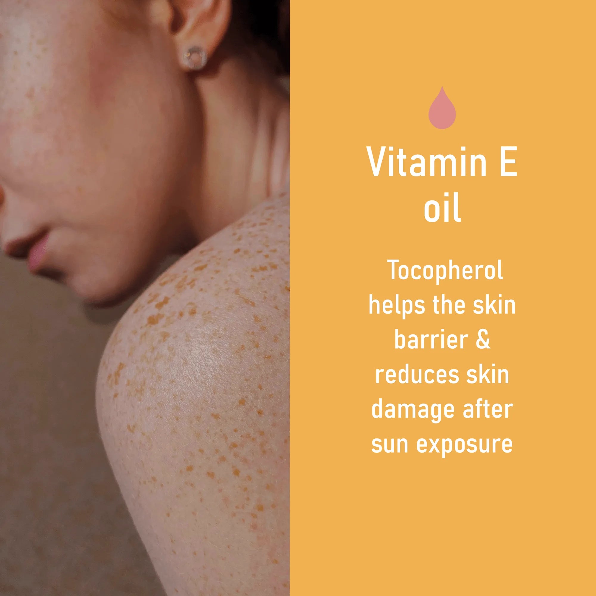 Rosehip Seed Oil - Healthy Skin Lab